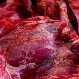 2025 Prodotti banco carni0034
